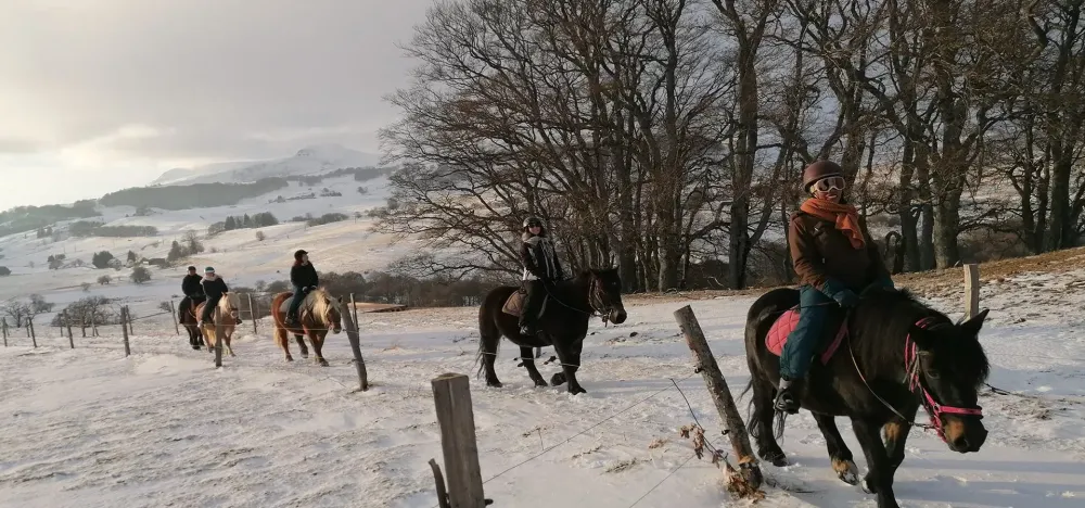 promenade-cheval (7)