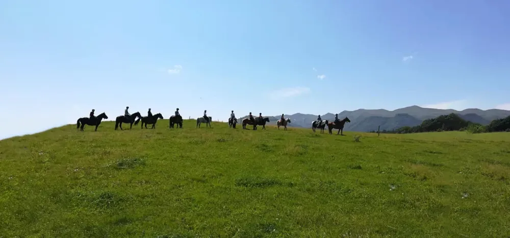 promenade-cheval (6)