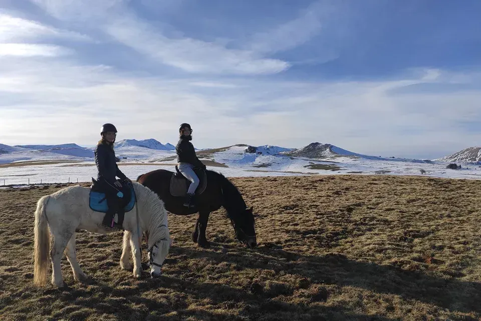 promenade-cheval (2)