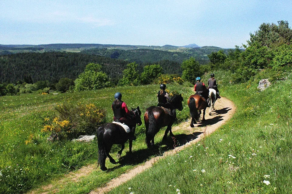 promenade-cheval (3)
