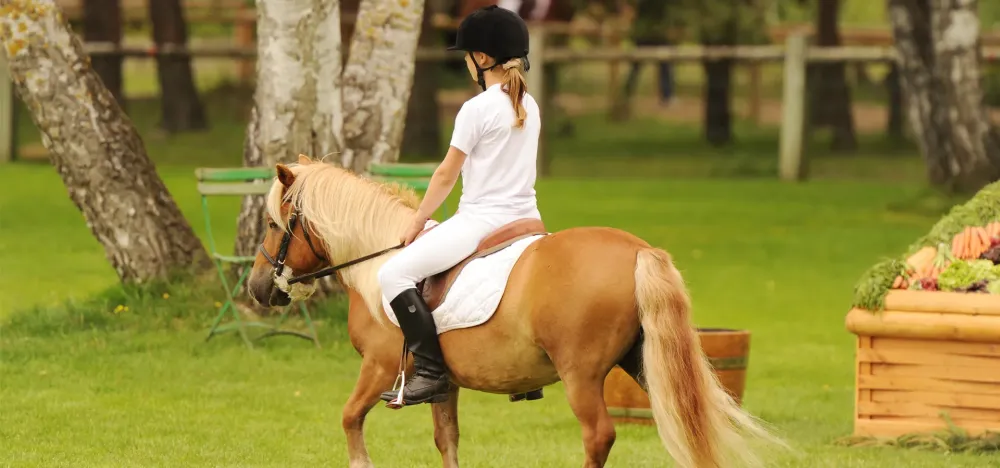 Poney à Besse-et-Saint-Anastaise