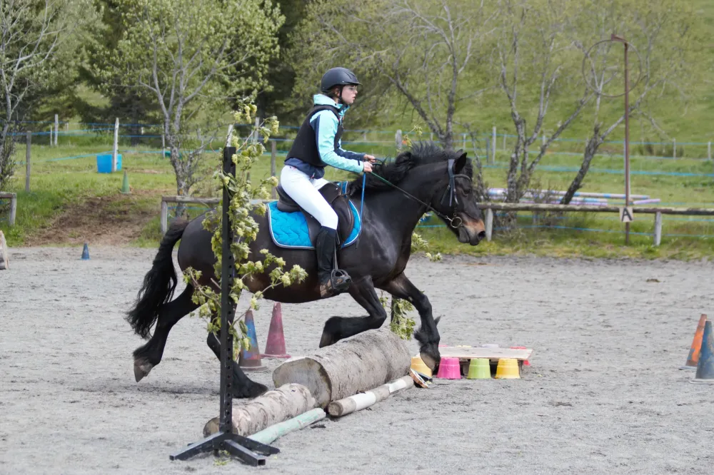 cours-equitation (1)