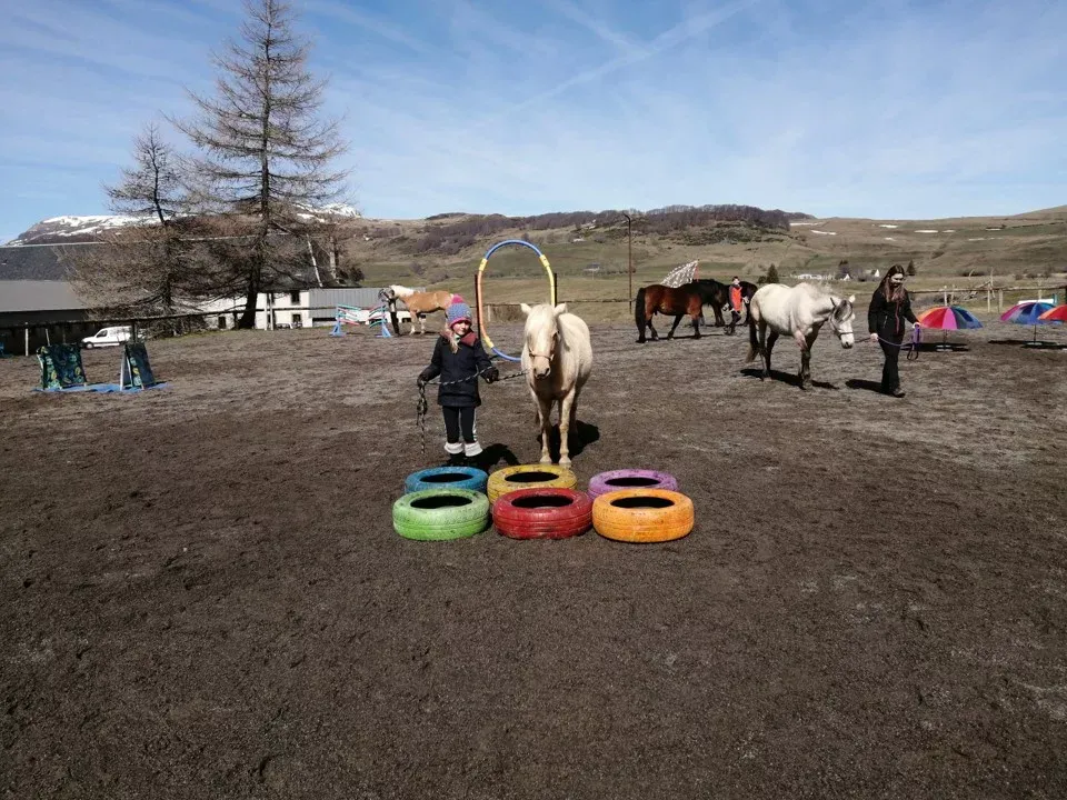 cours-equitation (2)
