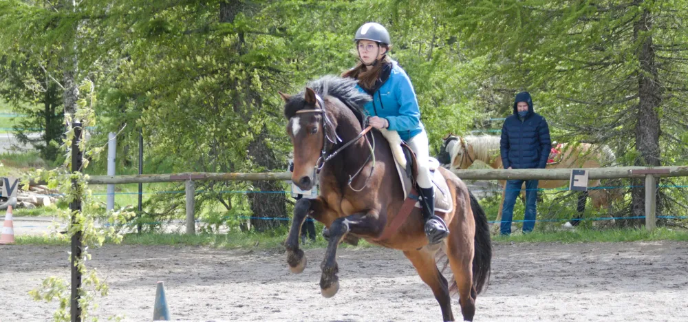 Sport étude cheval à Besse-et-Saint-Anastaise