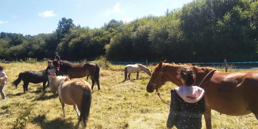 294847412_438888434915667_6204793818560048509_n