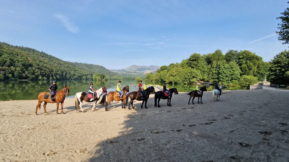 WhatsApp Image 2026-02-20 at 10.02.08