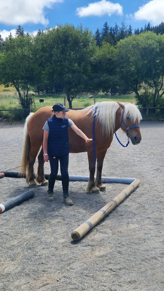 WhatsApp Image 2026-02-20 at 09.28.16