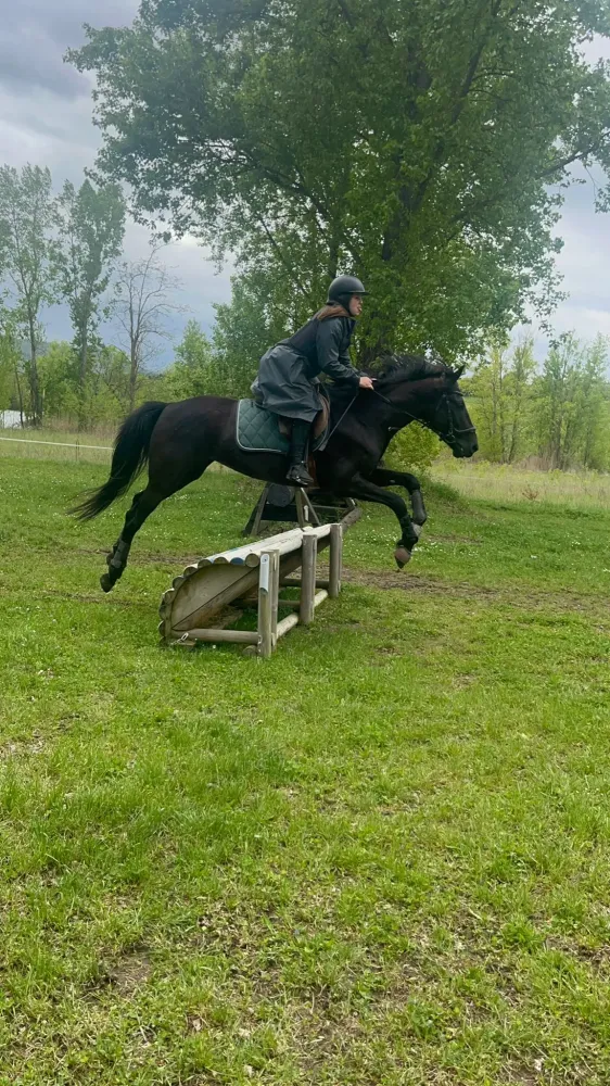 WhatsApp Image 2026-02-20 at 09.28.17