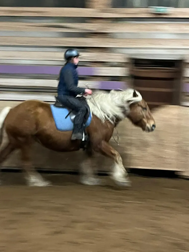 WhatsApp Image 2026-02-20 at 09.28.13